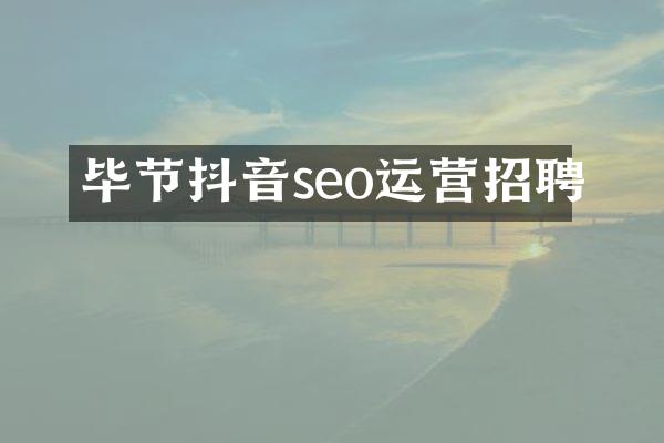 毕节抖音seo运营招聘