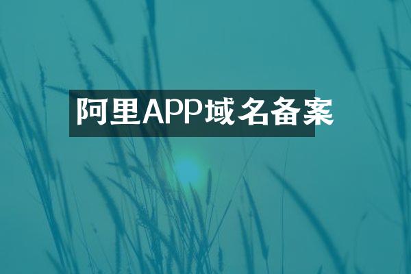 阿里APP域名备案