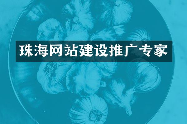 珠海网站建设推广专家