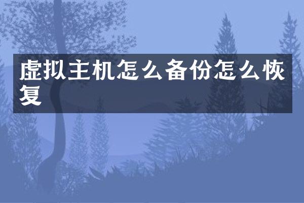 虚拟主机怎么备份怎么恢复