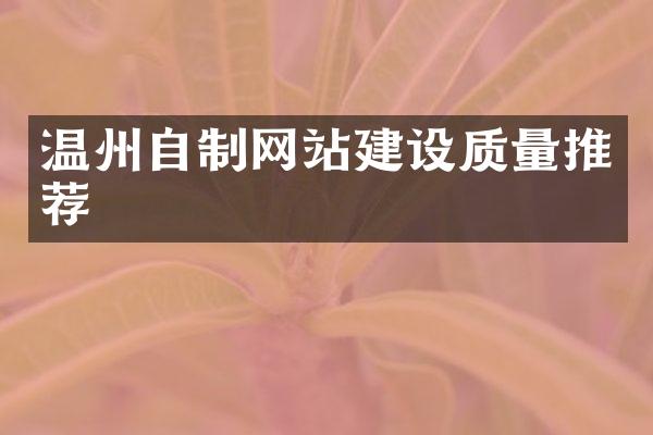 温州自制网站建设质量推荐