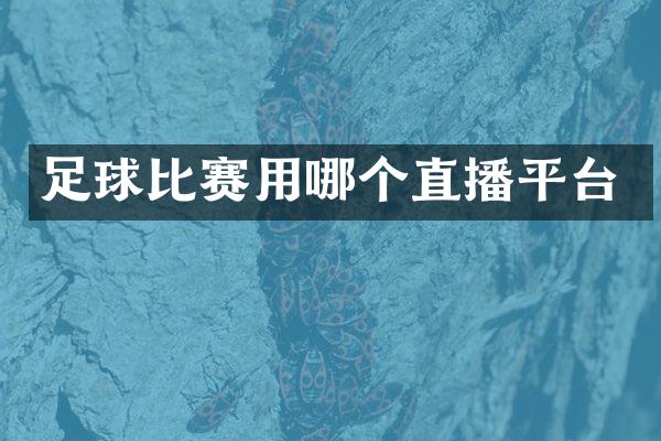 足球比赛用哪个直播平台