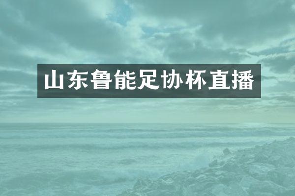 山东鲁能足协杯直播
