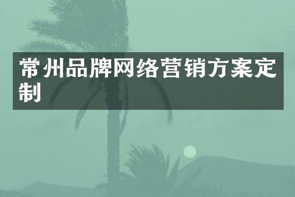 常州品牌网络营销方案定制