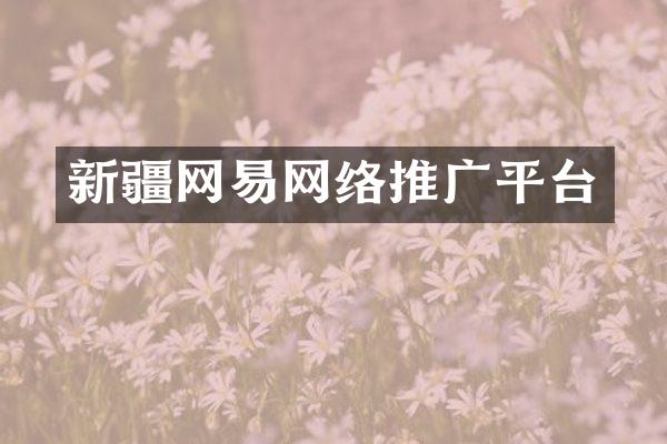 新疆网易网络推广平台