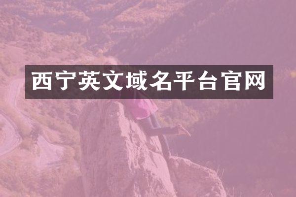 西宁英文域名平台官网