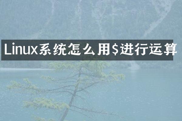 Linux系统怎么用$进行运算