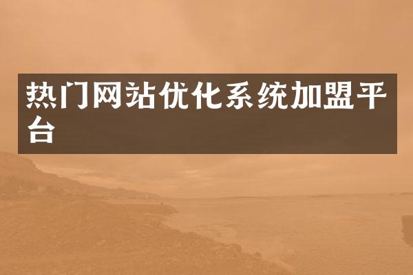 热门网站优化系统加盟平台