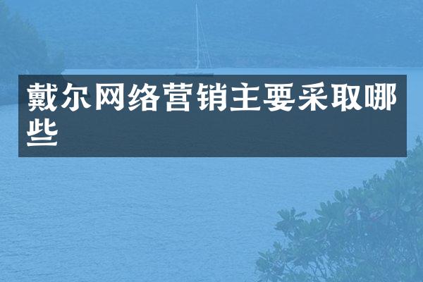 戴尔网络营销主要采取哪些