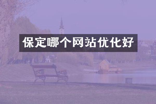 保定哪个网站优化好