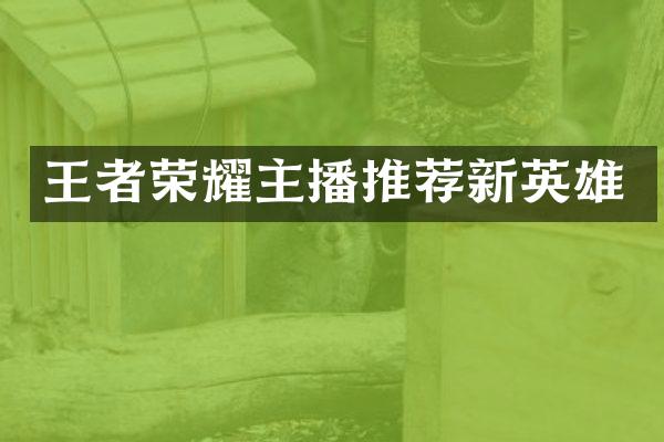王者荣耀主播推荐新英雄