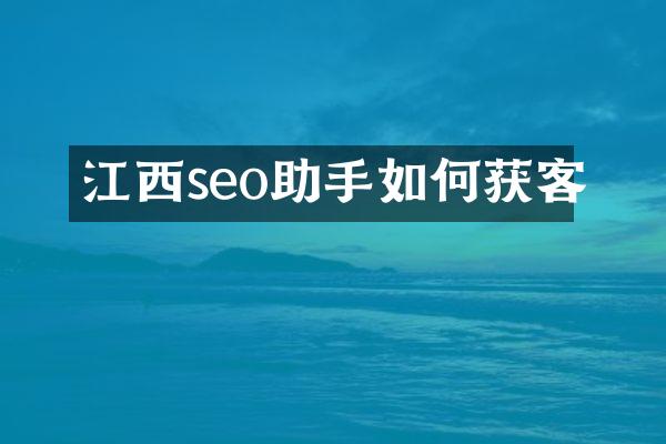 江西seo助手如何获客