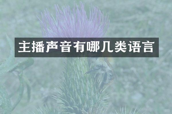 主播声音有哪几类语言