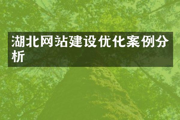 湖北网站建设优化案例分析