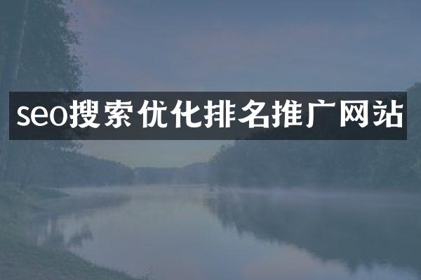 seo搜索优化排名推广网站