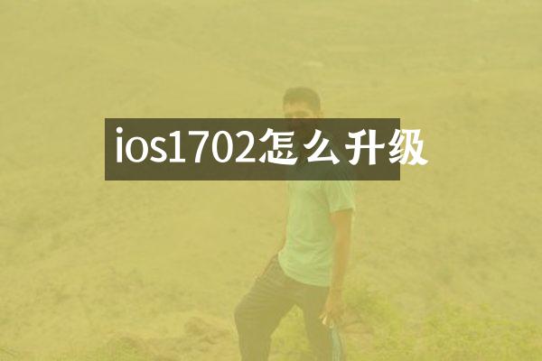 ios1702怎么升级