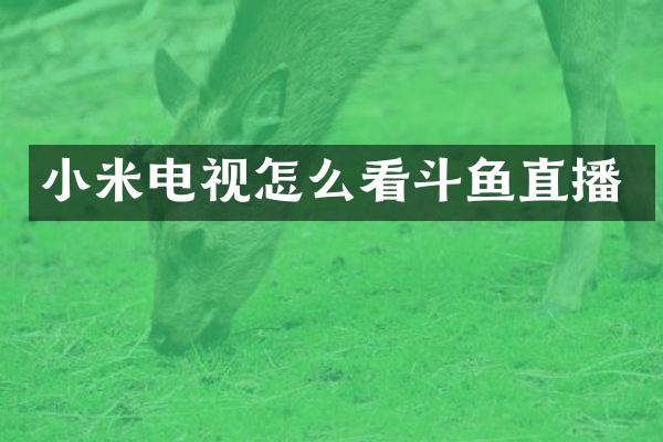 小米电视怎么看斗鱼直播