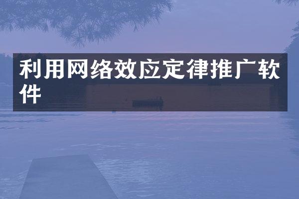 利用网络效应定律推广软件