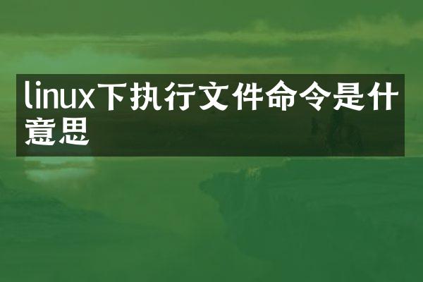 linux下执行文件命令是什么意思