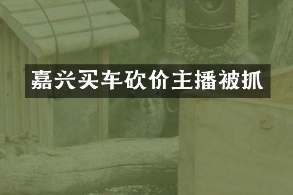 嘉兴买车砍价主播被抓
