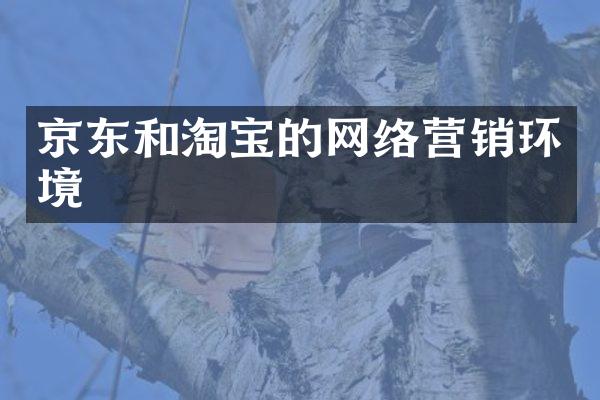 京东和淘宝的网络营销环境