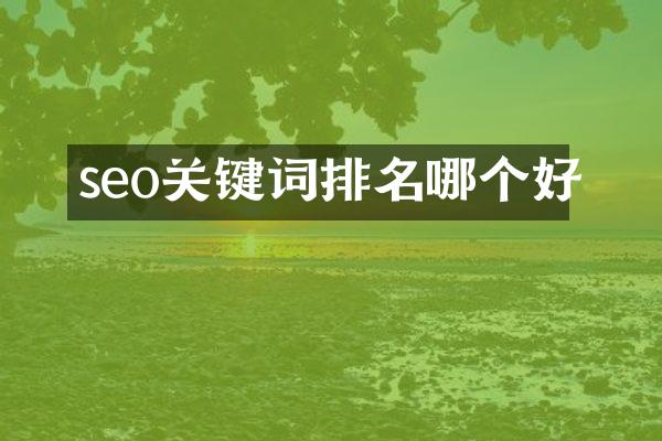 seo关键词排名哪个好