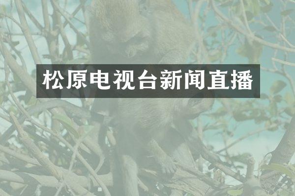 松原电视台新闻直播