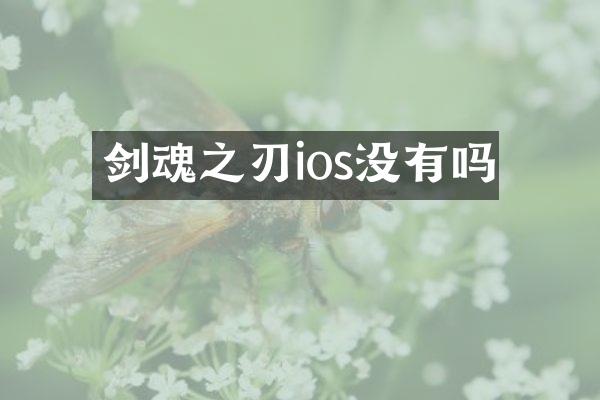 剑魂之刃ios没有吗