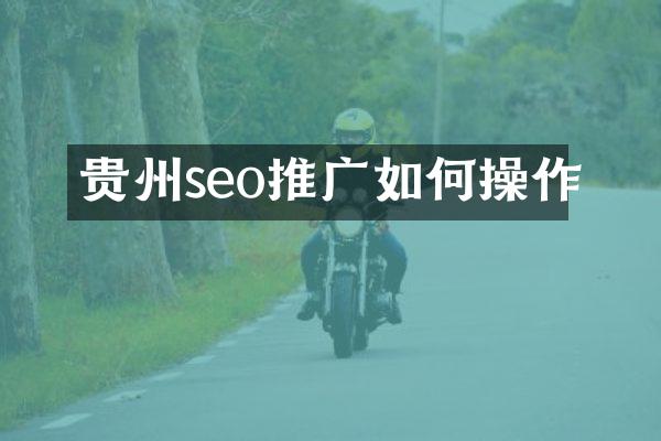 贵州seo推广如何操作
