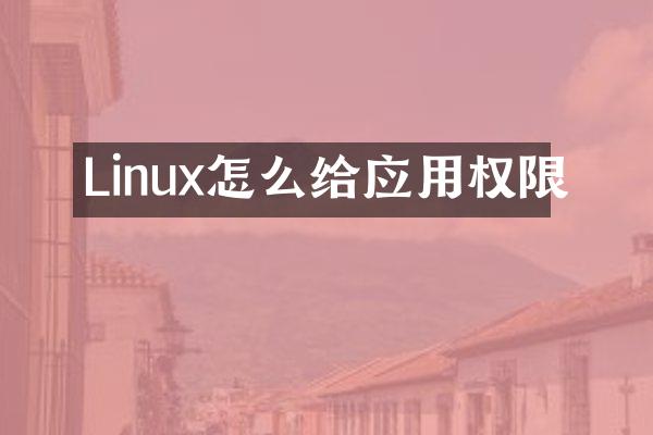 Linux怎么给应用权限