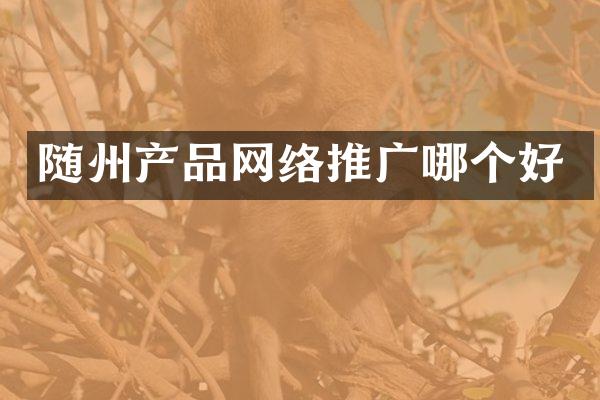 随州产品网络推广哪个好