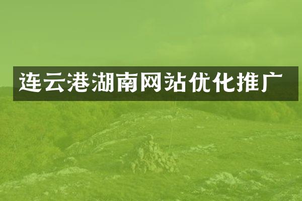 连云港湖南网站优化推广