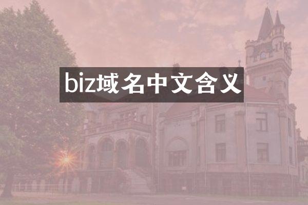 biz域名中文含义