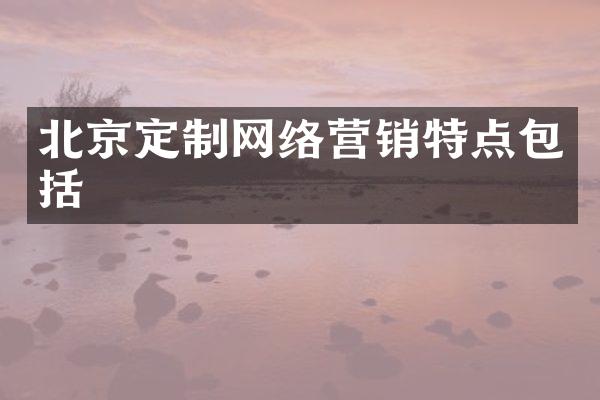 北京定制网络营销特点包括