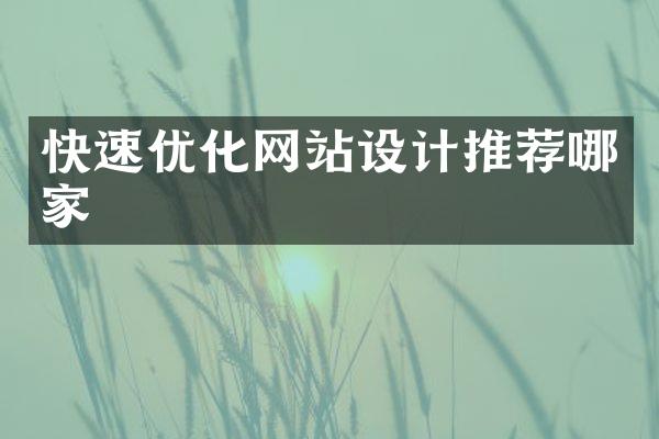 快速优化网站设计推荐哪家