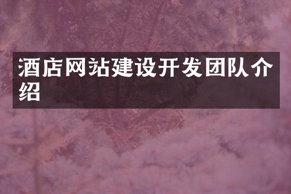 酒店网站建设开发团队介绍