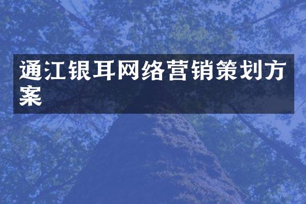 通江银耳网络营销策划方案