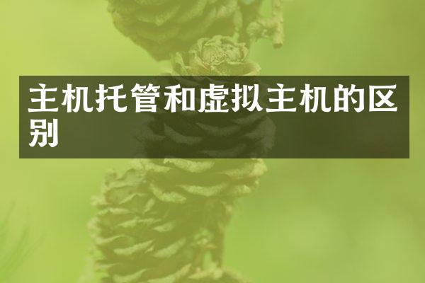 主机托管和虚拟主机的区别