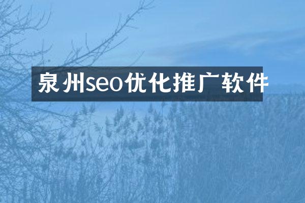 泉州seo优化推广软件