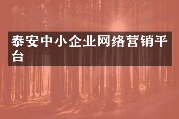 泰安中小企业网络营销平台