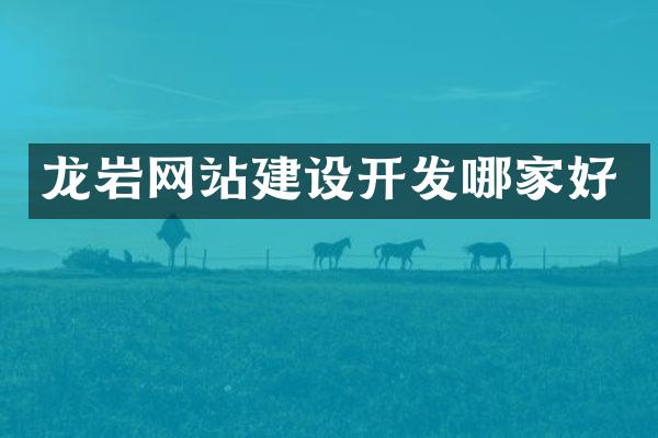 龙岩网站建设开发哪家好
