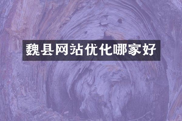 魏县网站优化哪家好