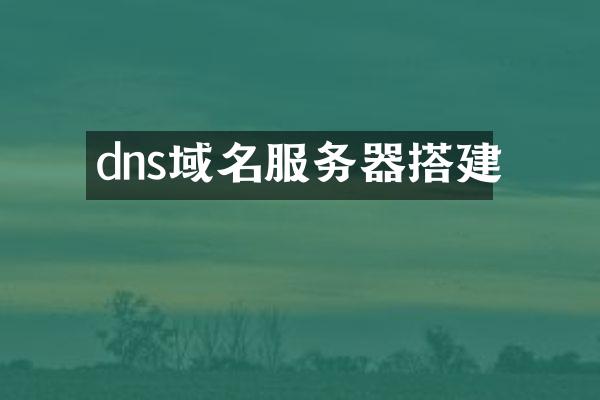 dns域名服务器搭建