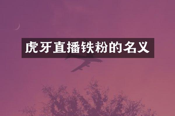 虎牙直播铁粉的名义