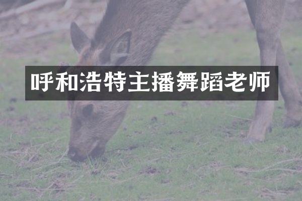呼和浩特主播舞蹈老师