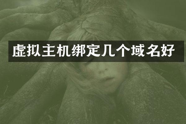 虚拟主机绑定几个域名好