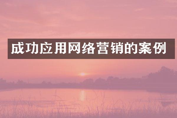 成功应用网络营销的案例
