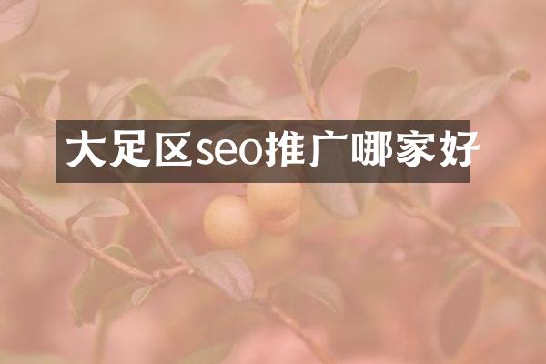 大足区seo推广哪家好