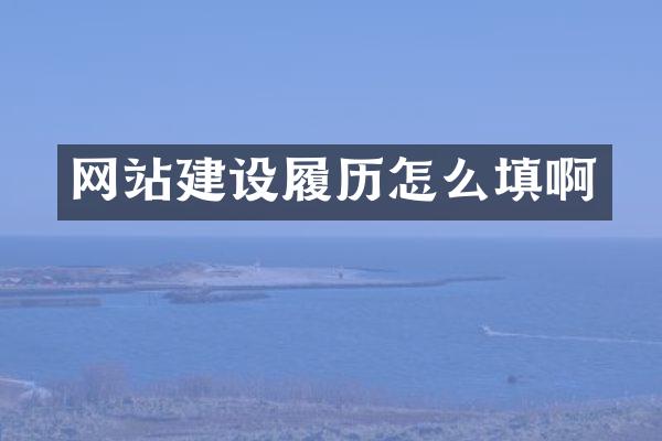 网站建设履历怎么填啊