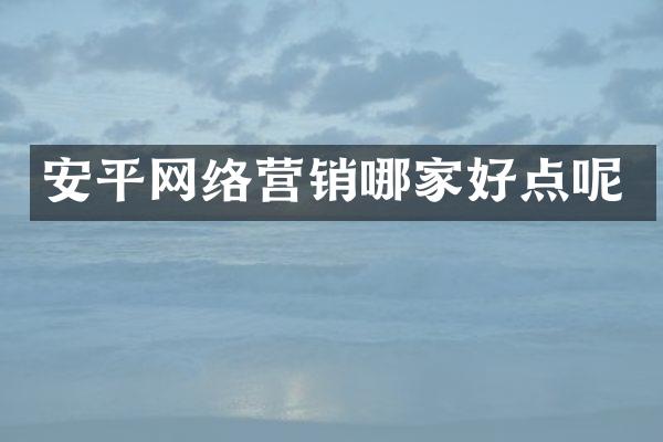 安平网络营销哪家好点呢
